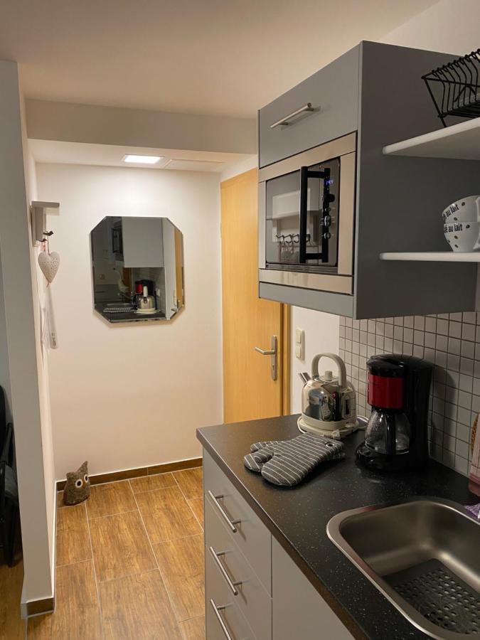 Saale Unstrut Ferienwohnung I ナウムブルク エクステリア 写真